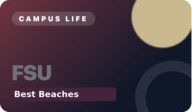 Best Beaches Near FSU for a Study Break After Tests and Exams