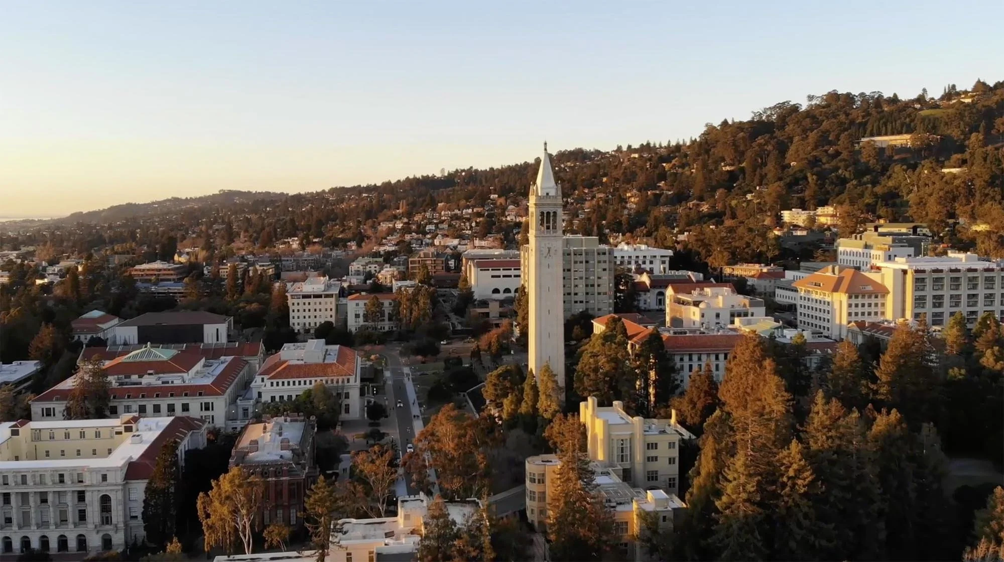 The Berkeley Place Amenities
