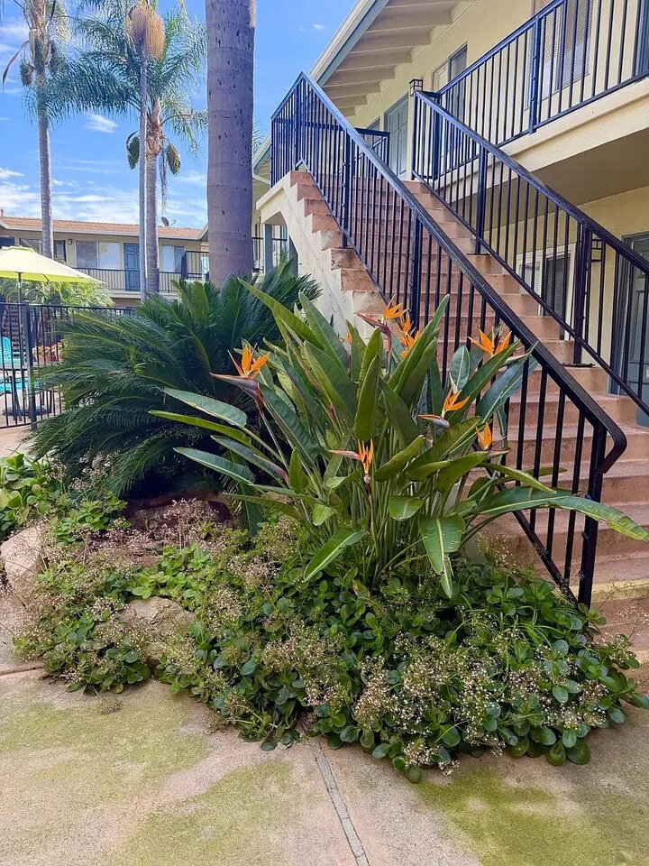Park View Apartments Vista exterior