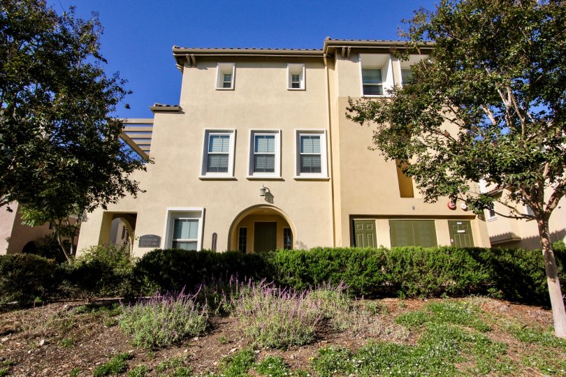 2128 Silverado Street Condos Amenities