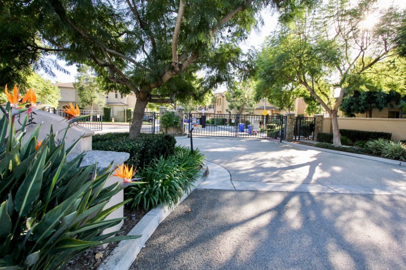 1622 Hope Street Townhome Exterior