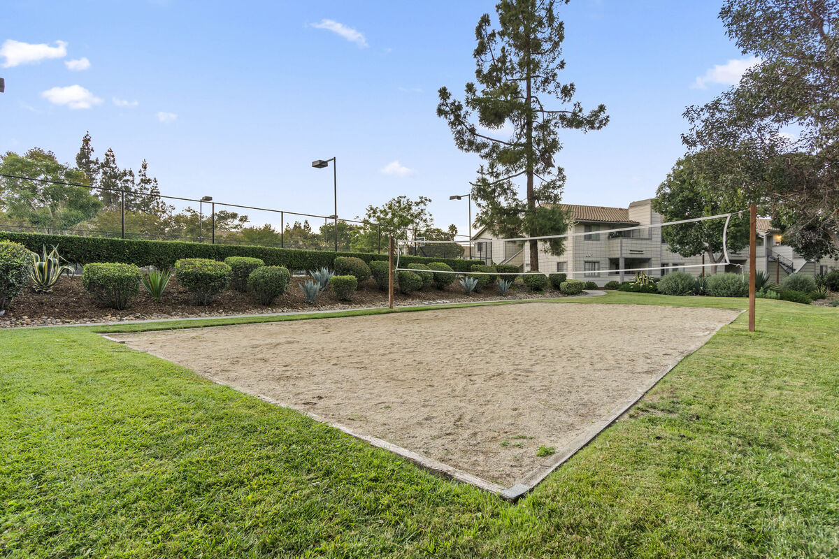 1350 Morning View Apartments Amenities