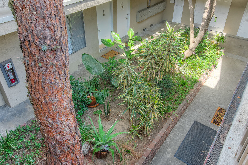 12424 Texas Apartments Amenities