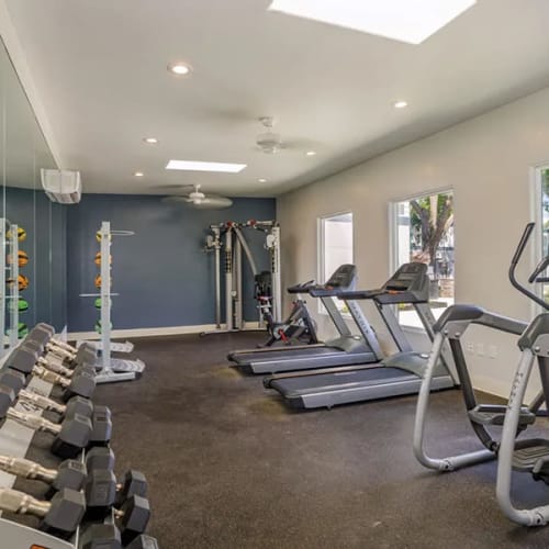 Academy Lane Apartment Homes Amenities