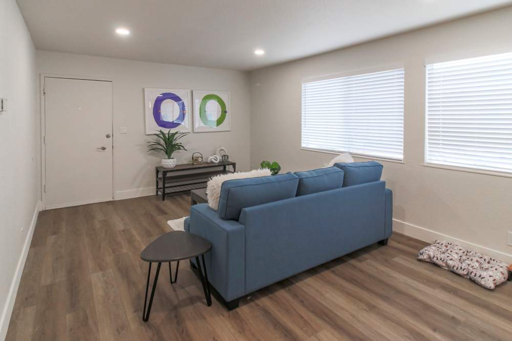 Aero Apartments Amenities
