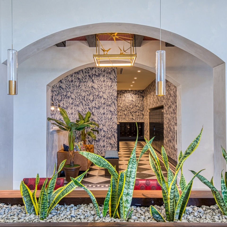 Alexan Waterloo Amenities