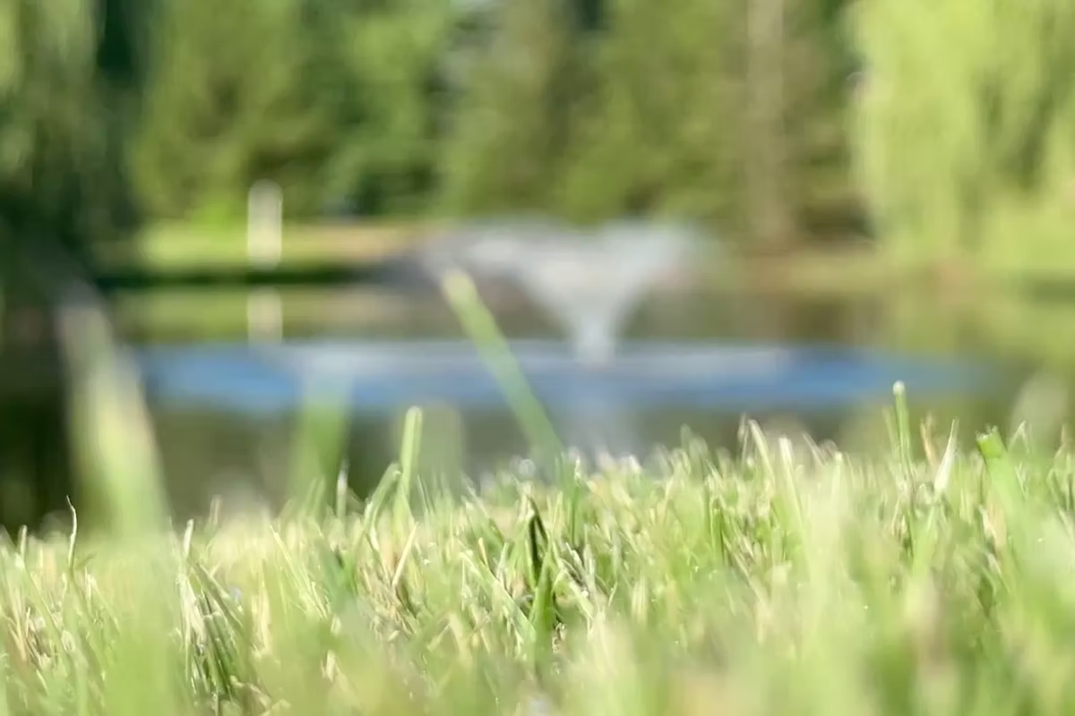 Aspen Lakes Estates Amenities