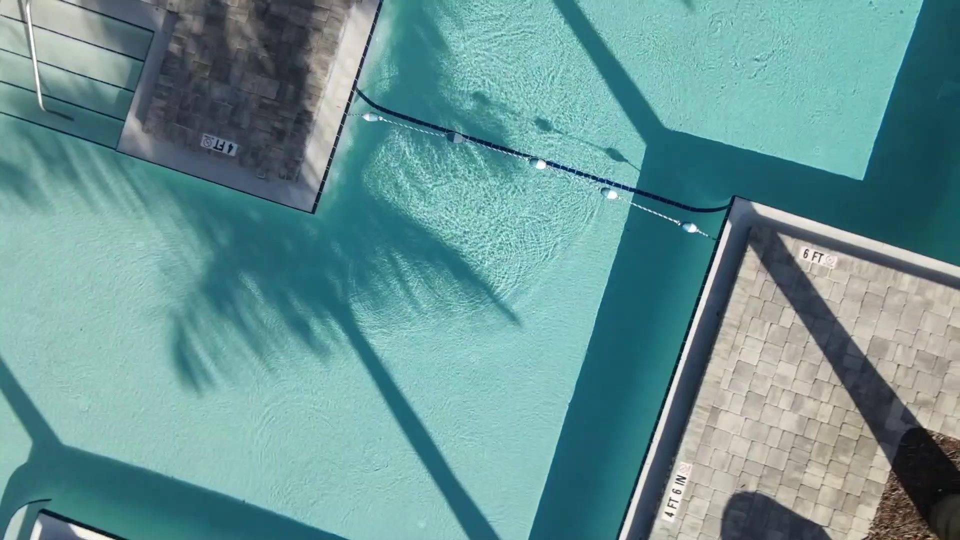 Avion at Carrollwood Amenities