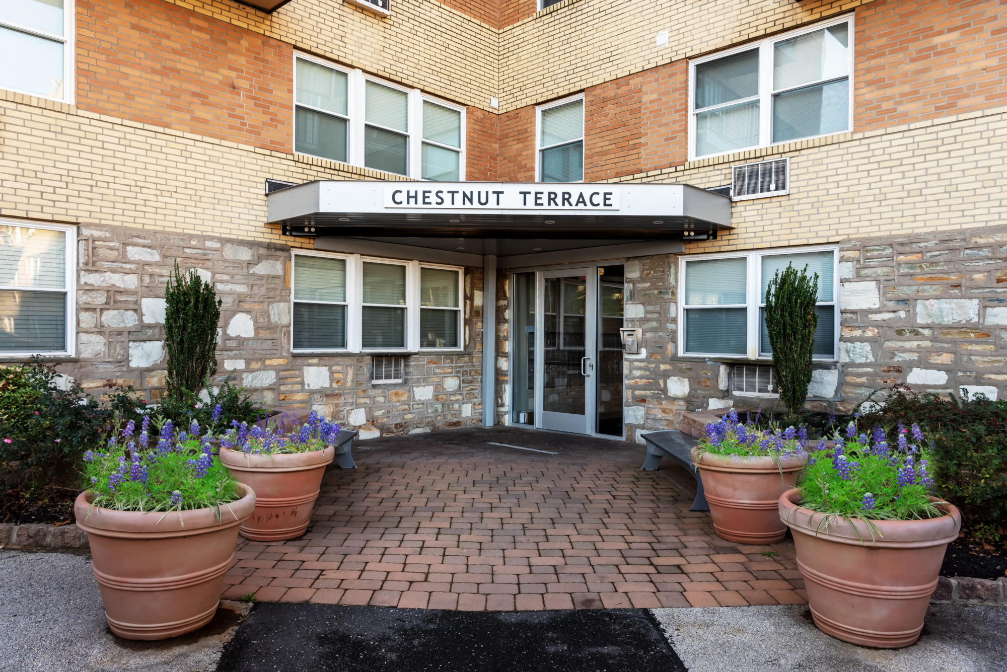 Chestnut Terrace Exterior
