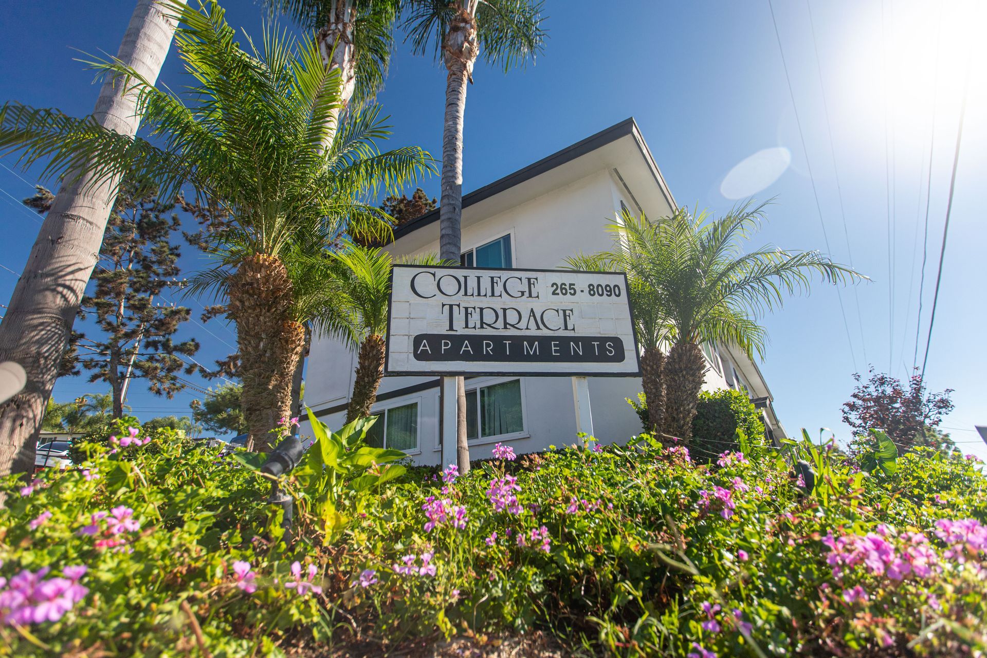 College Terrace Apartments Exterior
