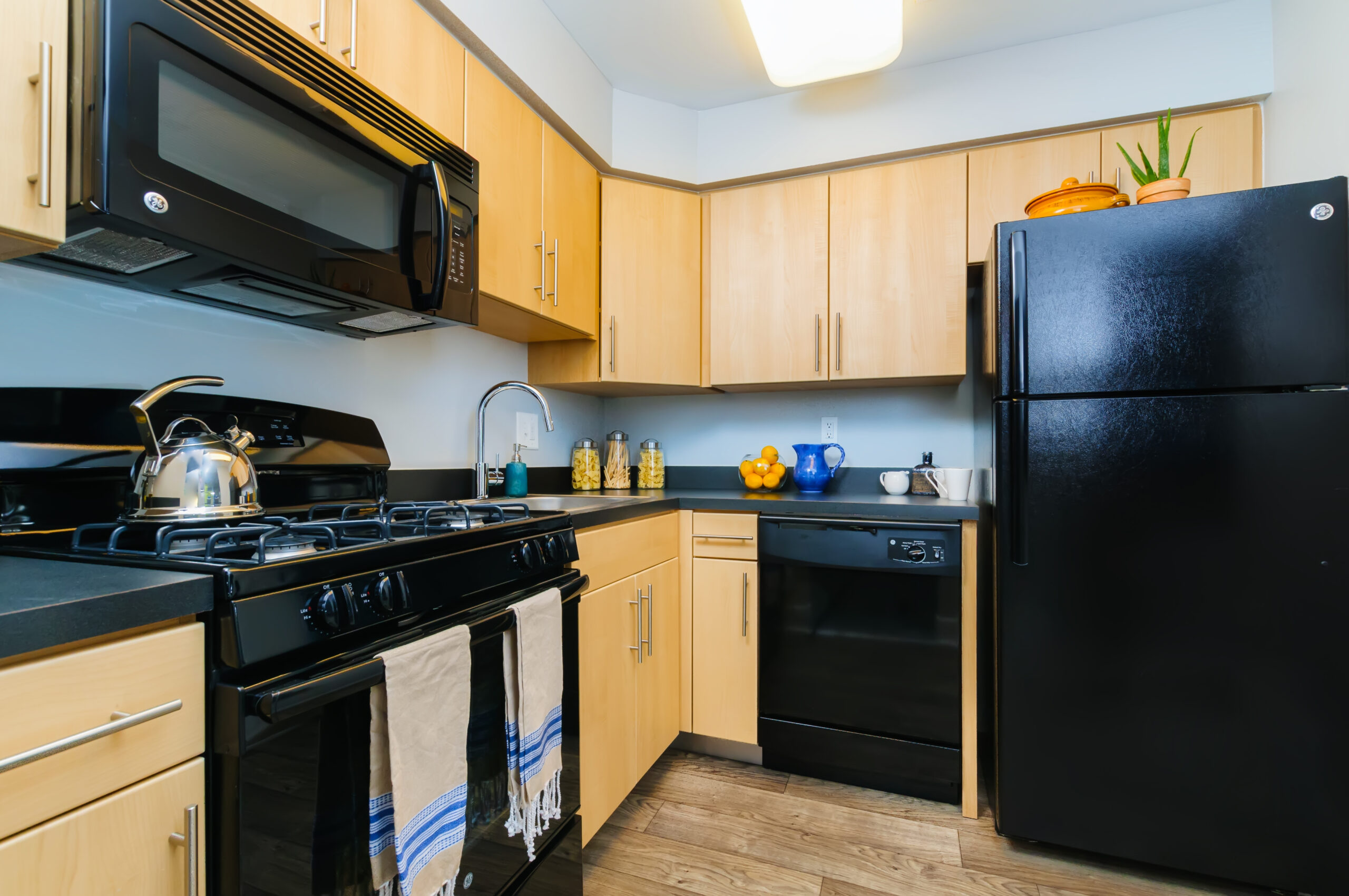 Coventry Apartments Amenities