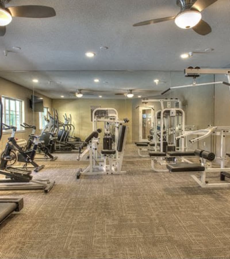 DaVinci Apartments Amenities