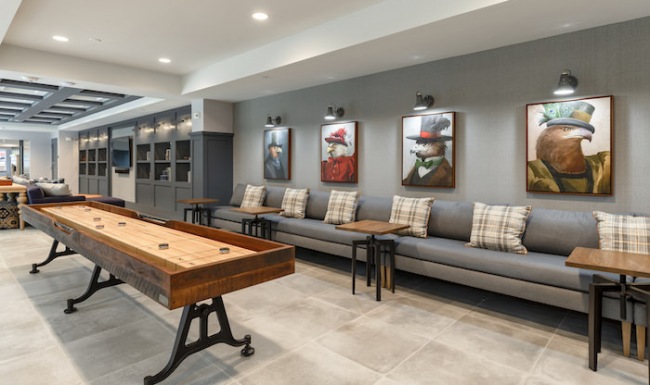 Delwyn Apartments Amenities