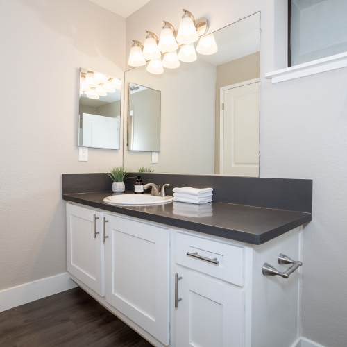 Ellington Apartments Amenities
