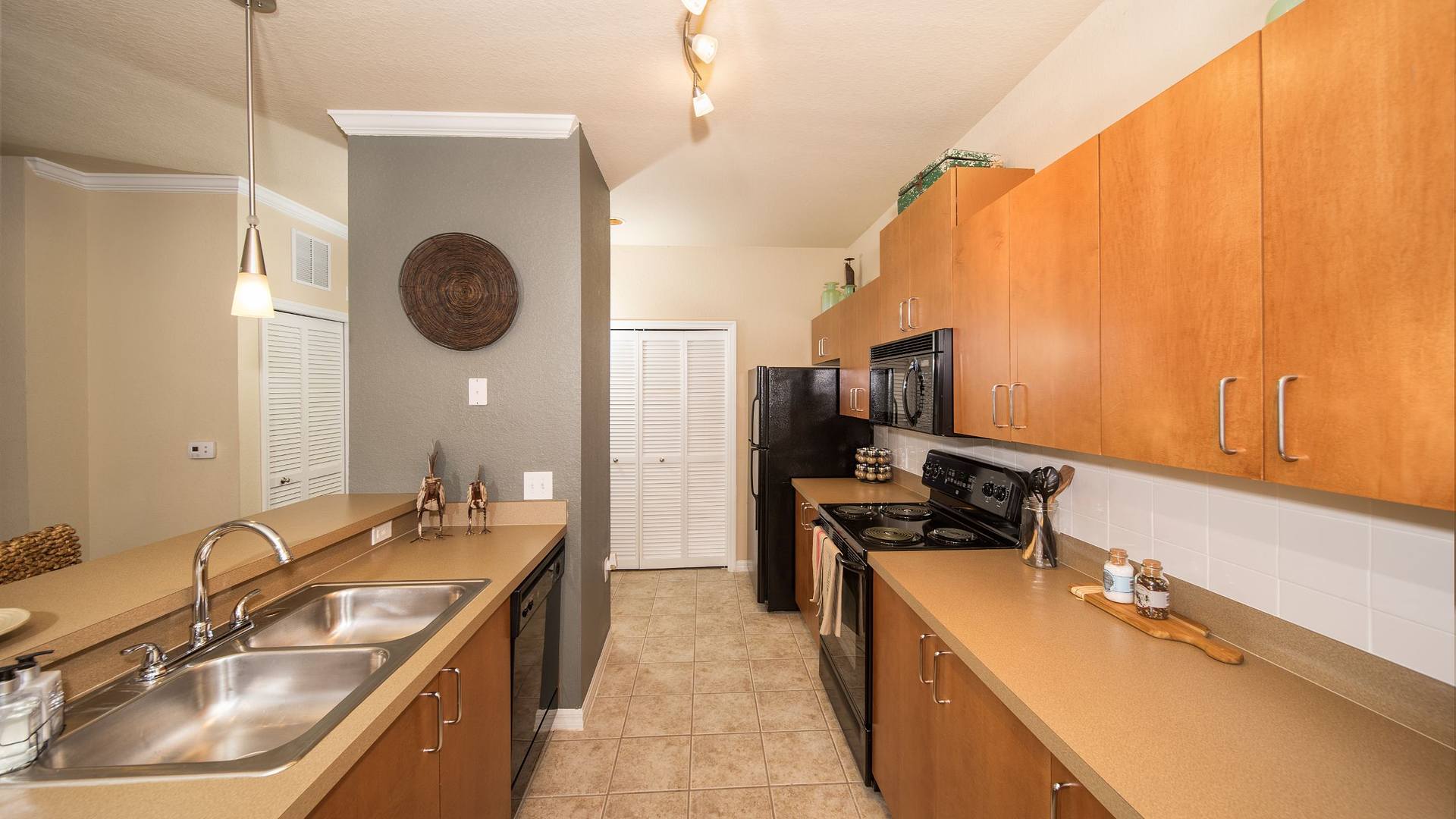 Enclave at Wesley Chapel Amenities