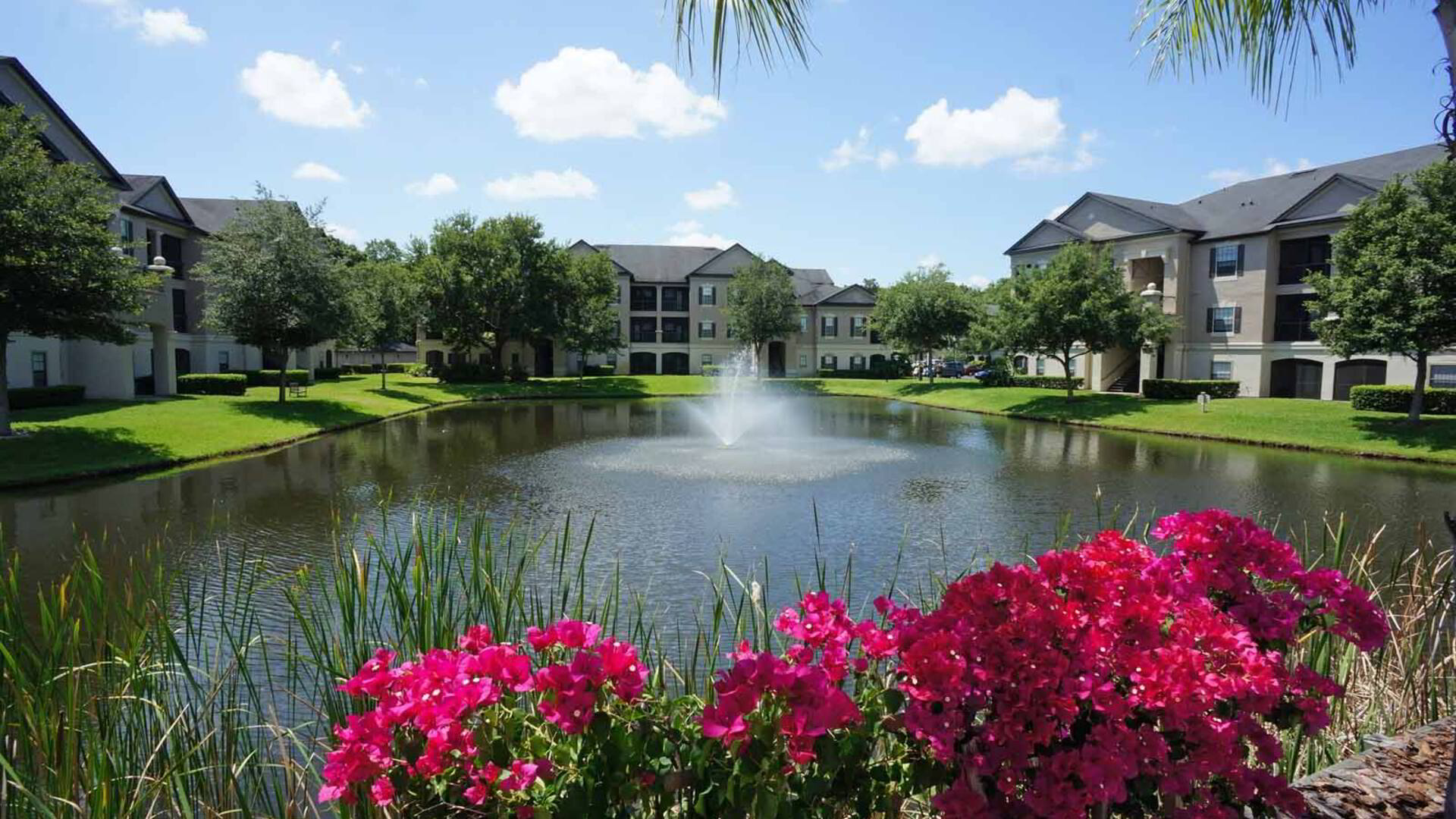 Enclave at Wesley Chapel Exterior