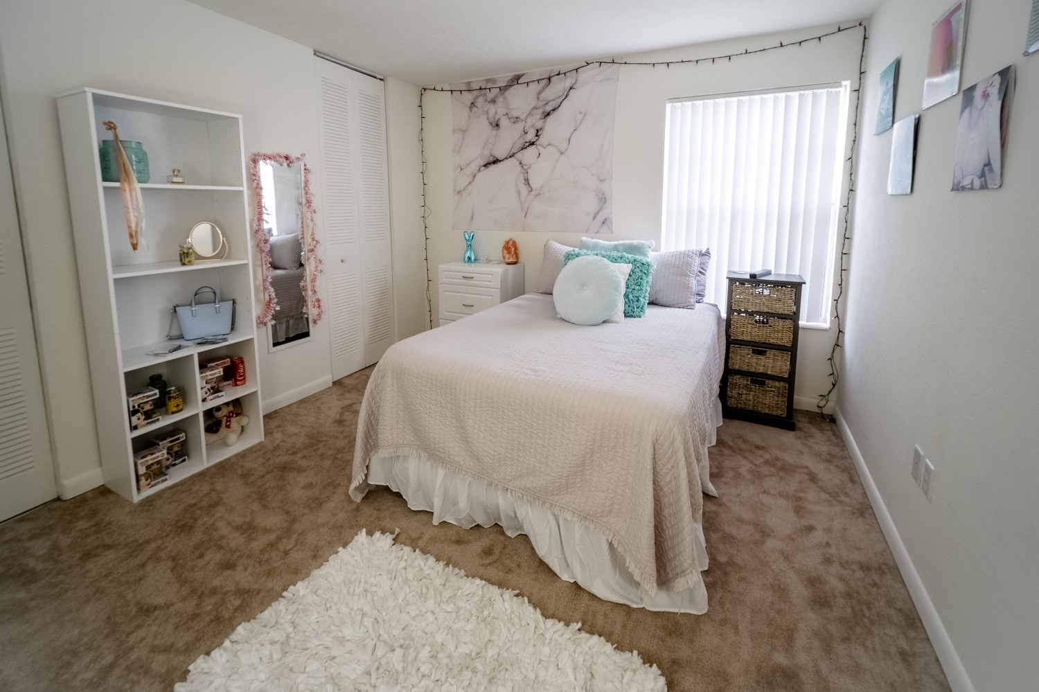 Gator View Apartments Amenities