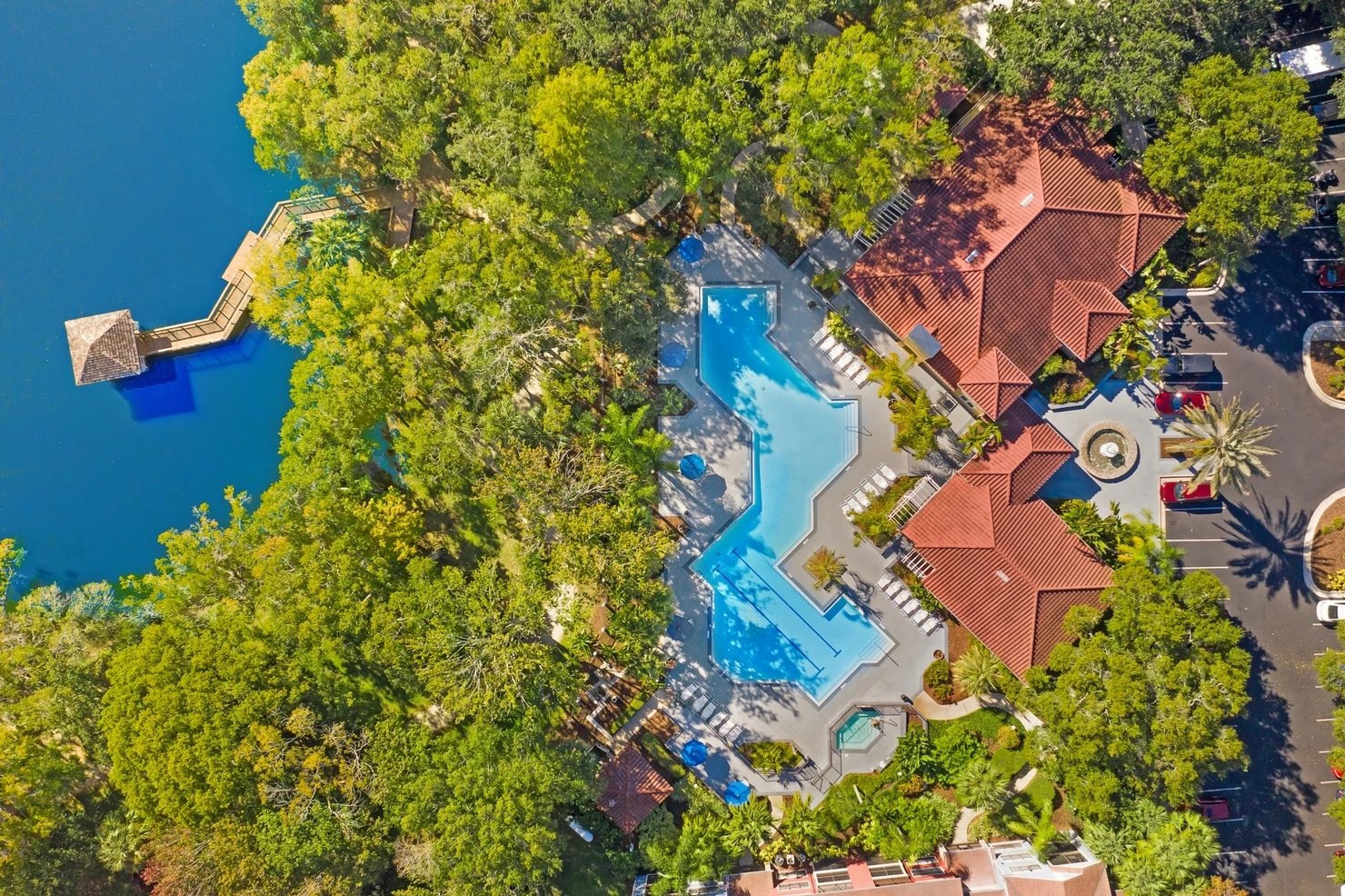 Grande Oasis at Carrollwood Amenities