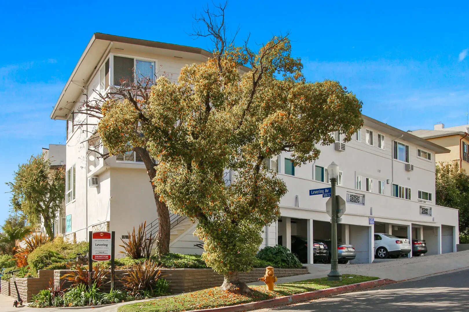Levering Apartments Amenities