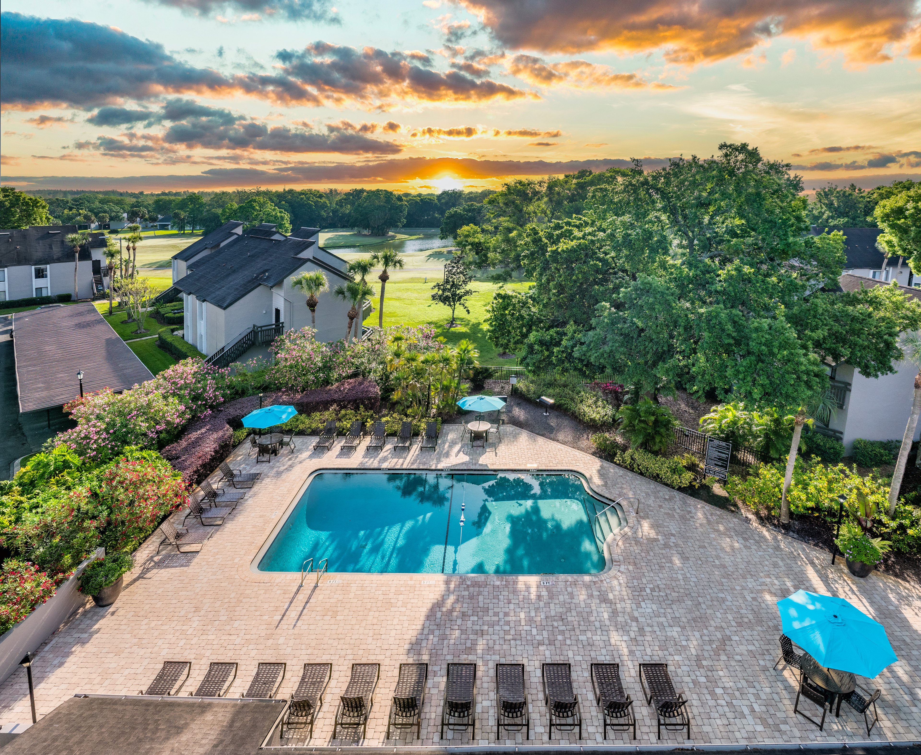 MAA Carrollwood Amenities