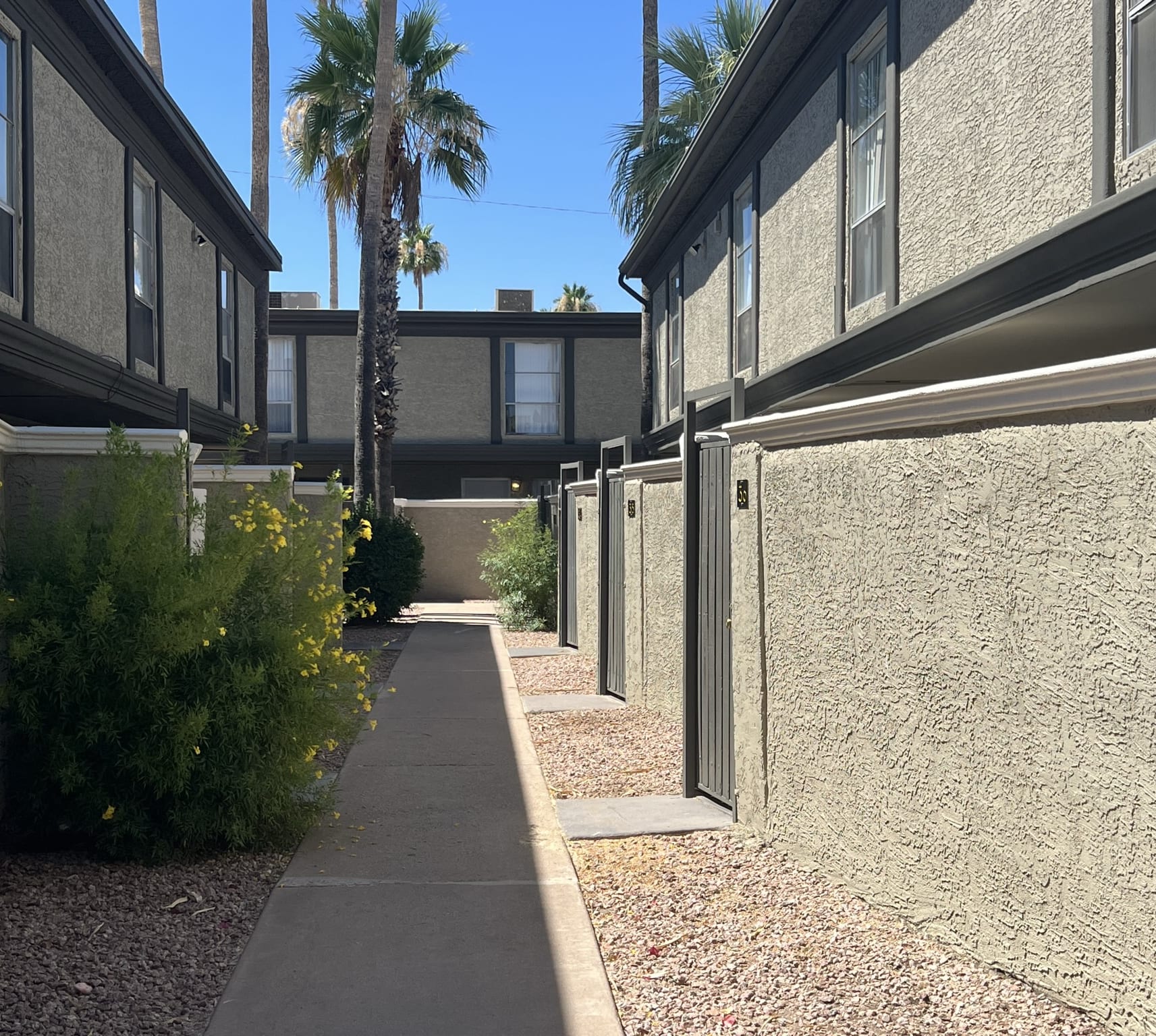 McClintock Townhomes exterior