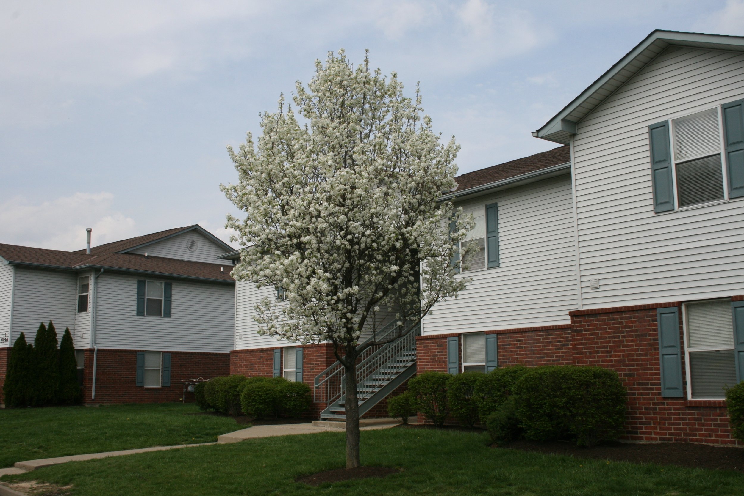 Meadow Ridge Apartments exterior