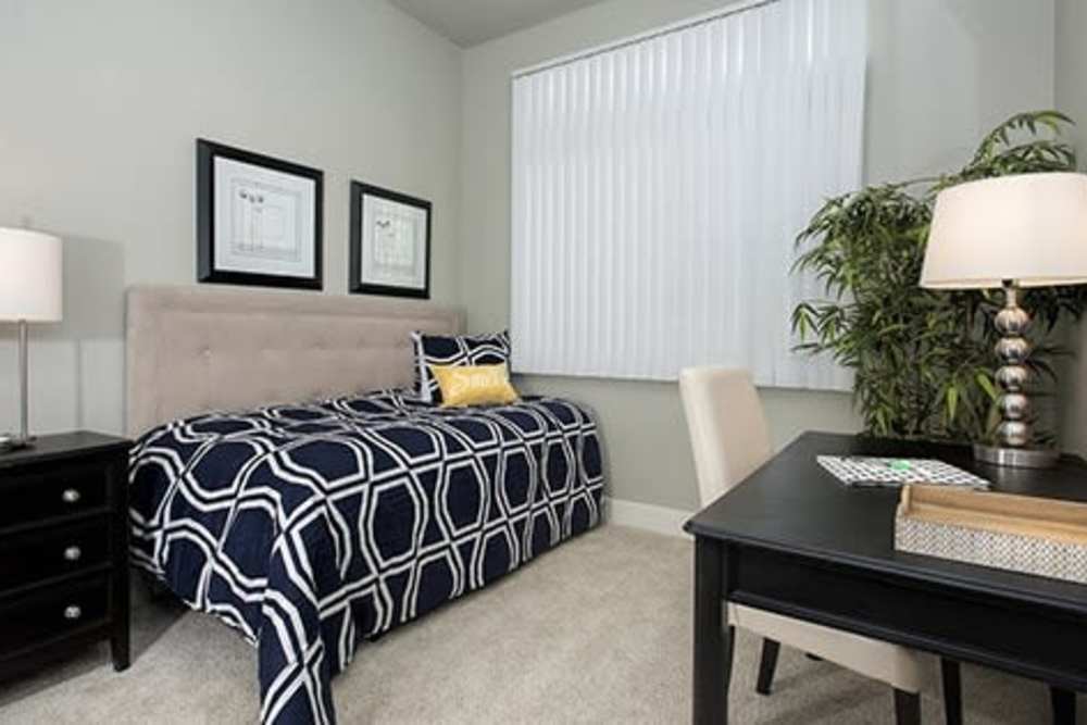 Octave Apartments Amenities