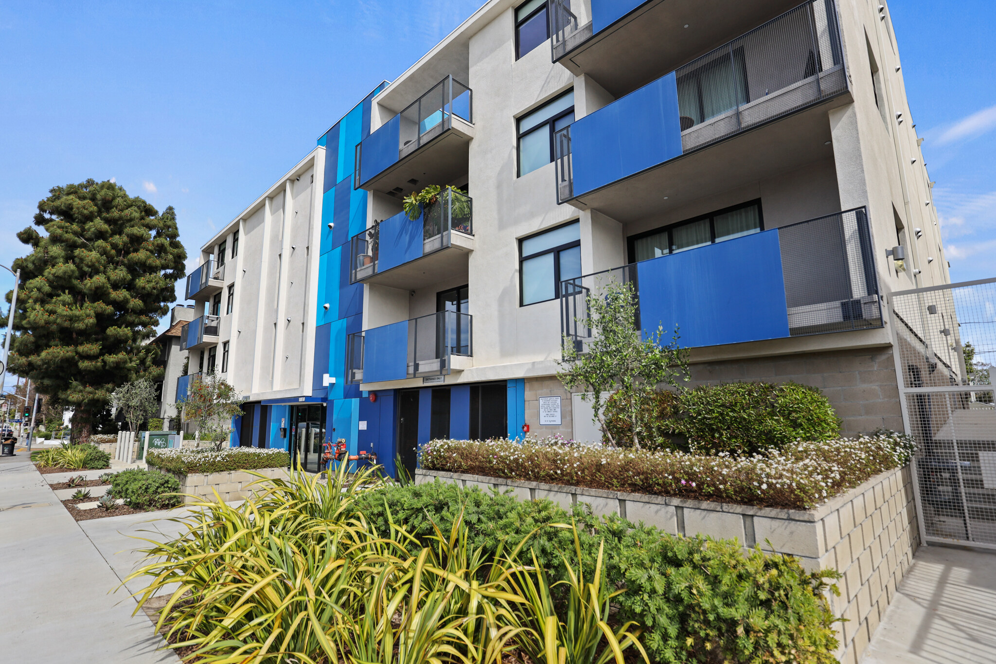 Palms Blue by Wiseman Exterior