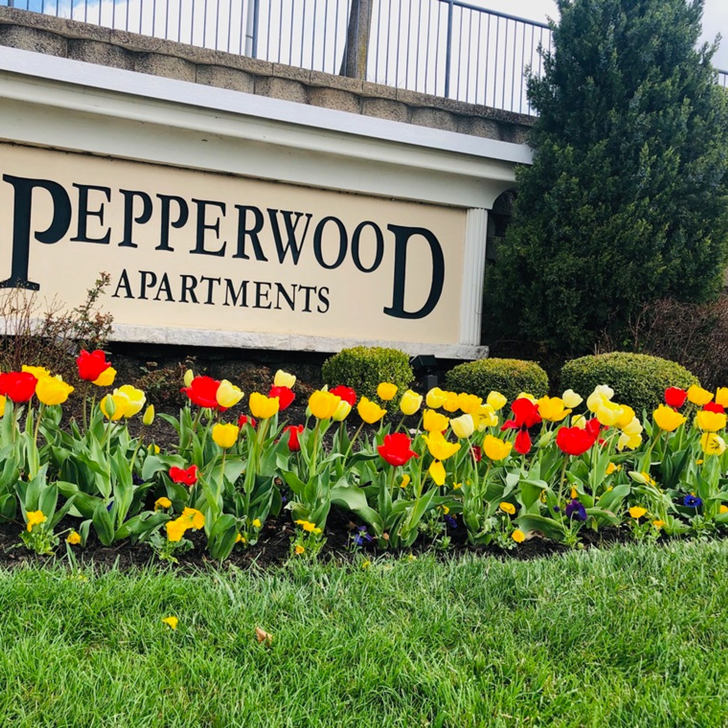 Pepperwood Apartments Amenities