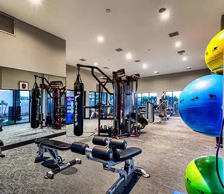 Prime Apartments Amenities