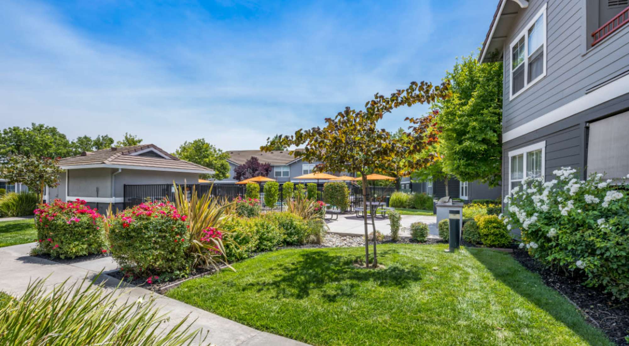 Seville at Mace Ranch exterior