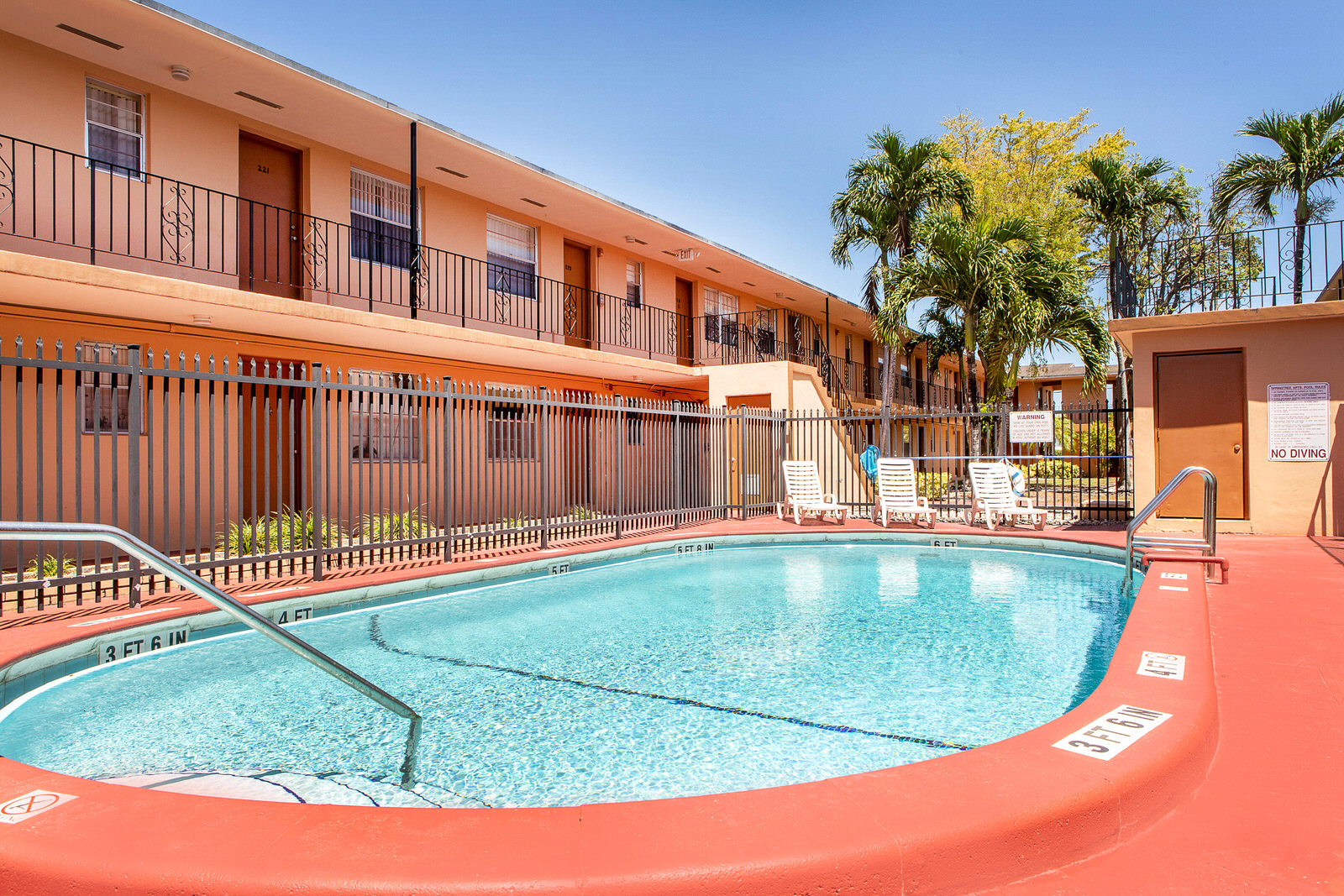 Springtree Apartments Amenities