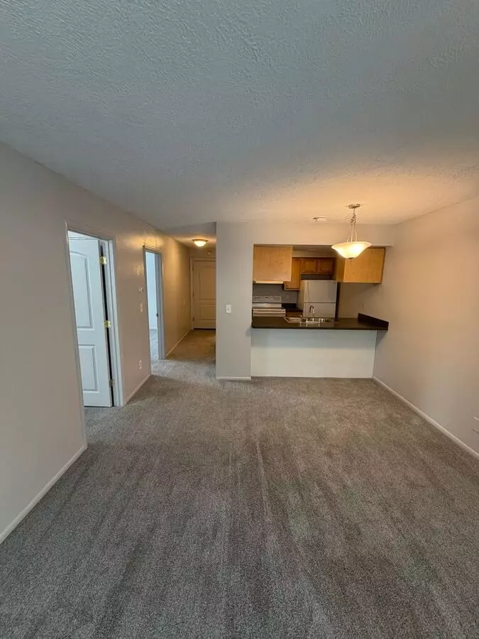 Tamara Apartments Amenities