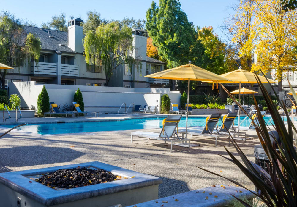 Tanglewood Apartments Exterior