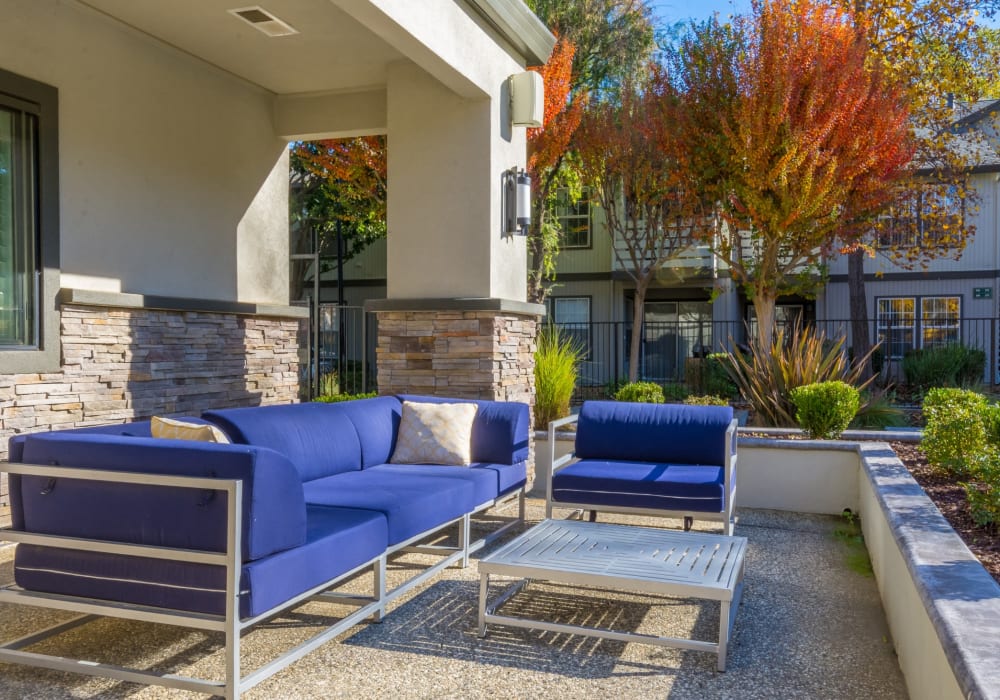 Tanglewood Apartments Amenities