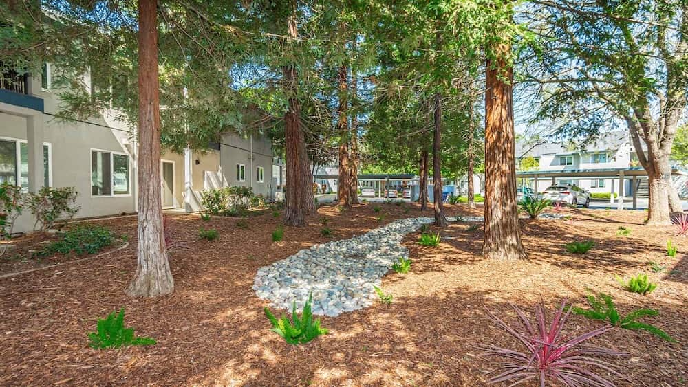 The Arbors Apartments Amenities