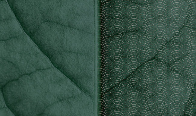The Chestnut Exterior