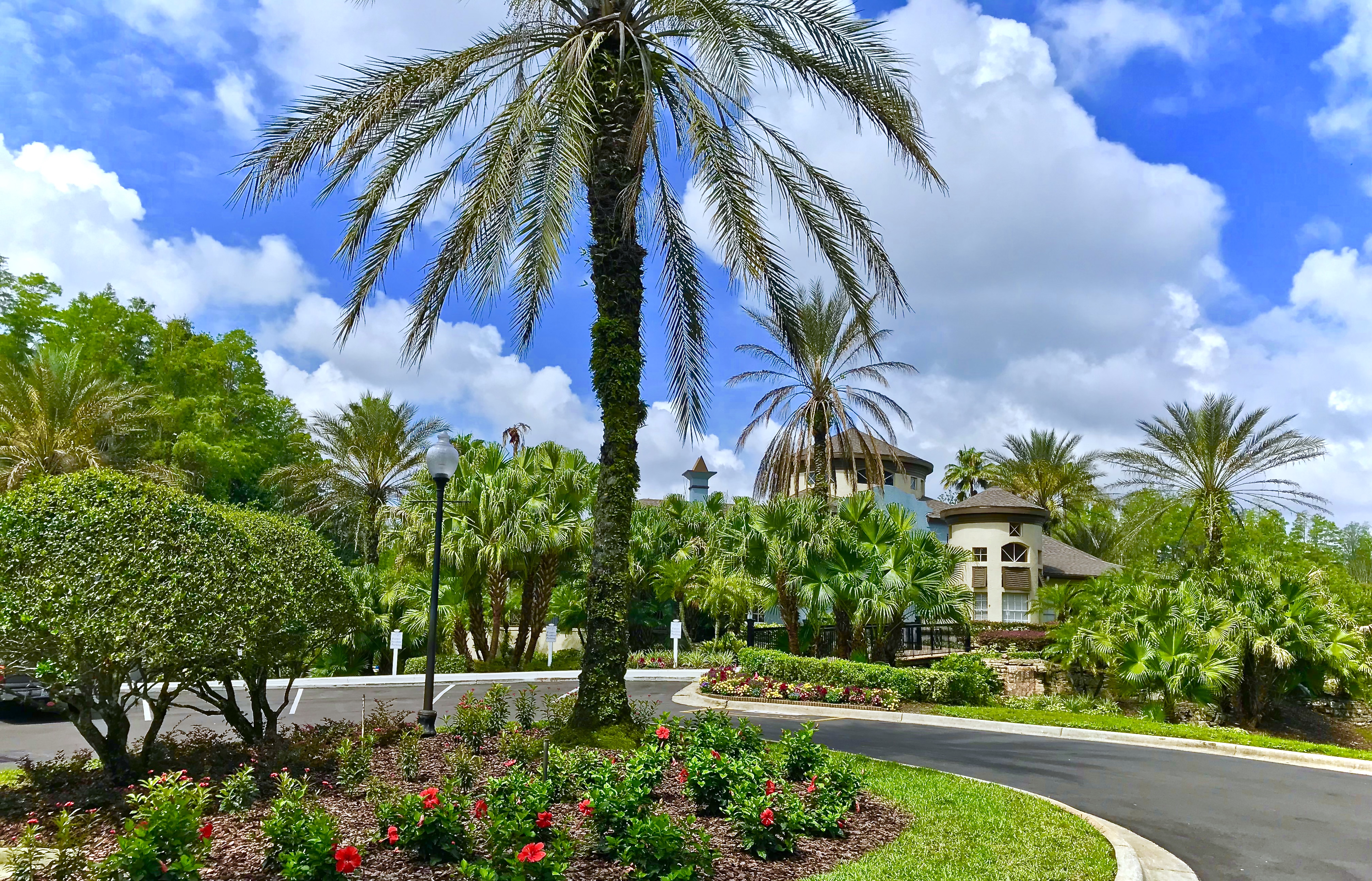 The Falls at New Tampa Amenities