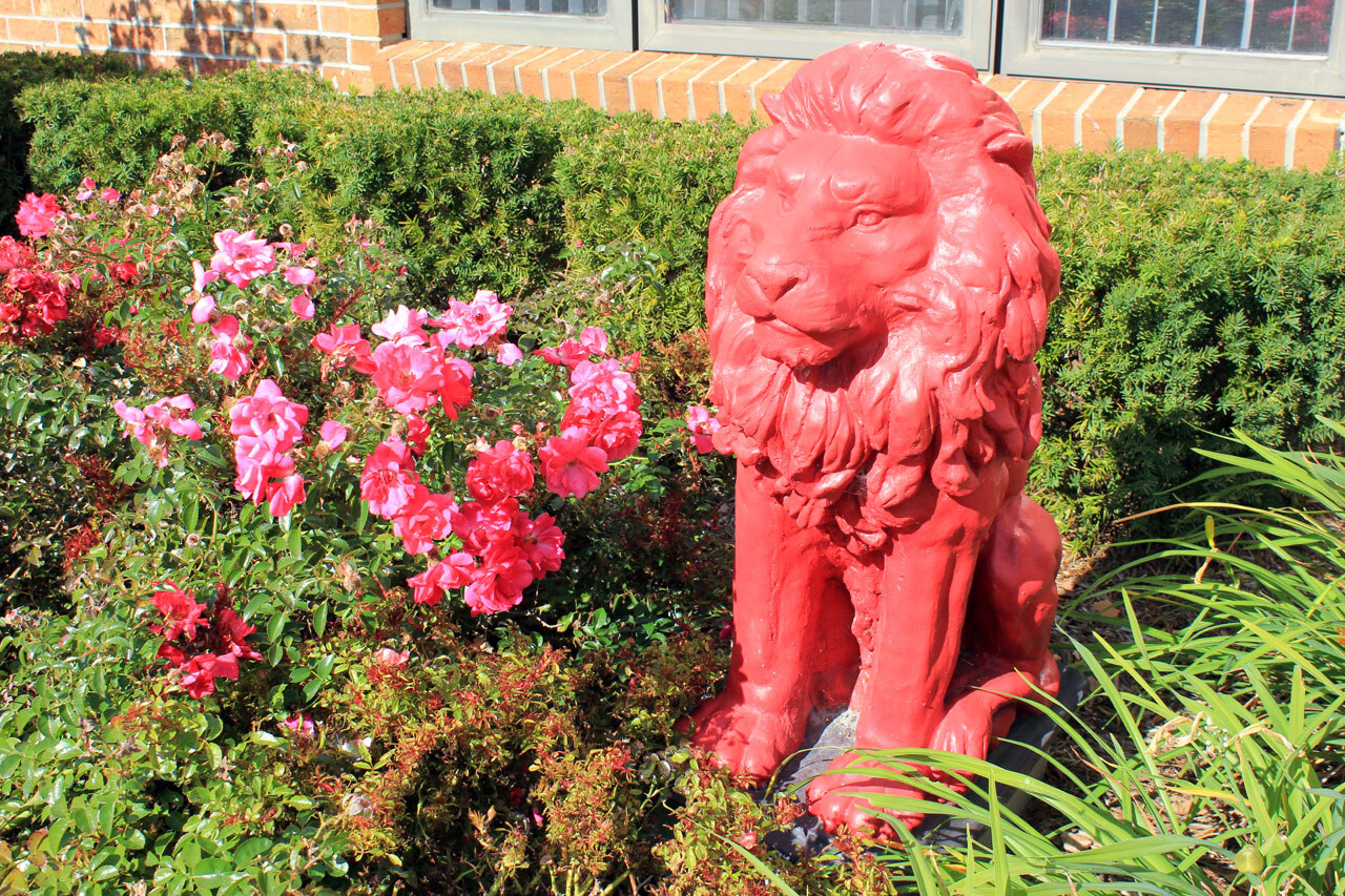The Red Lion Apartments Amenities