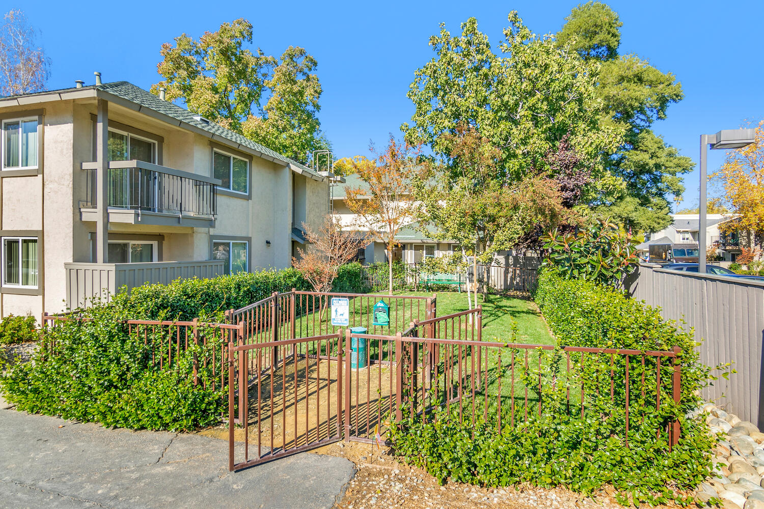 The Trees Apartments Amenities