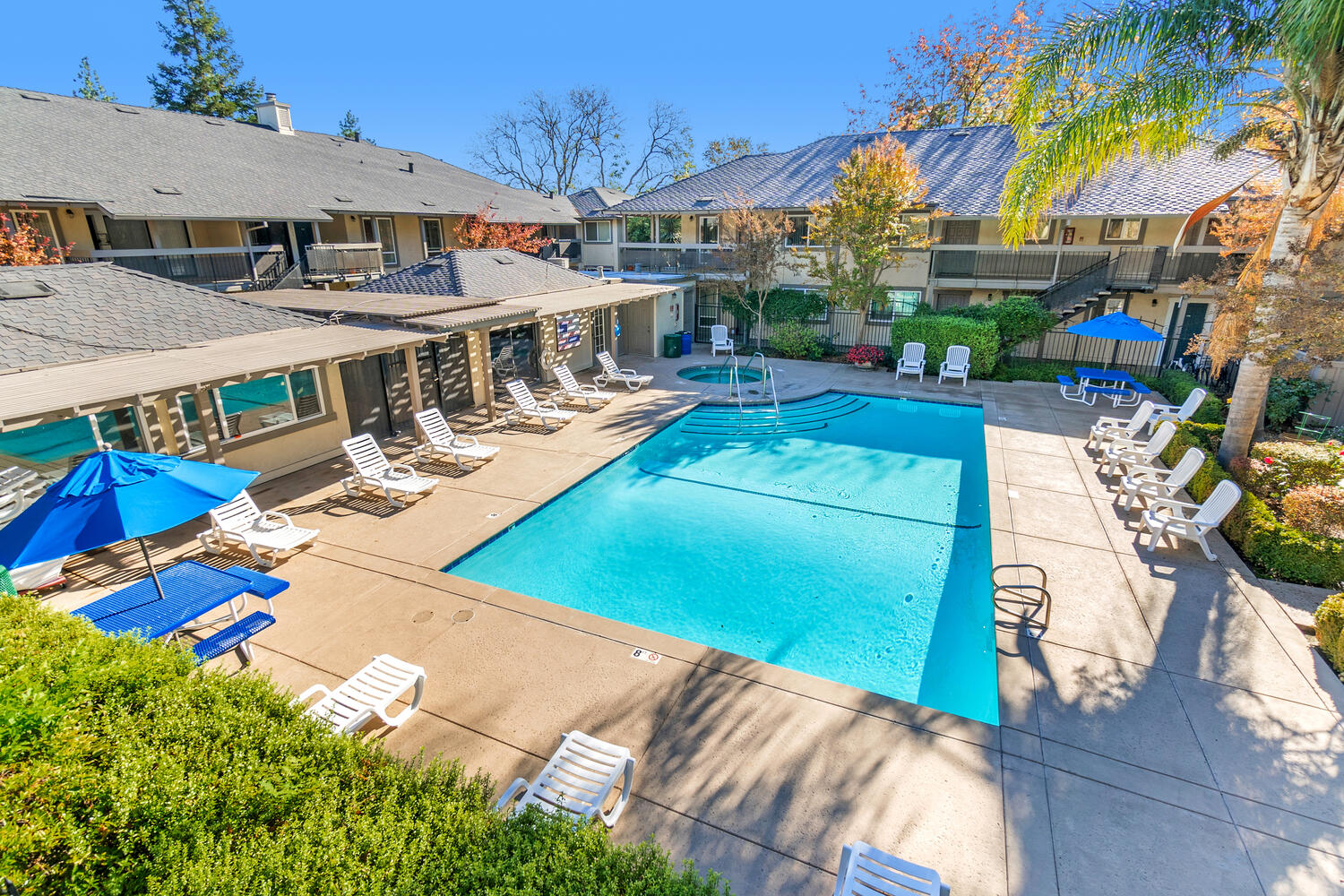 The Trees Apartments Amenities