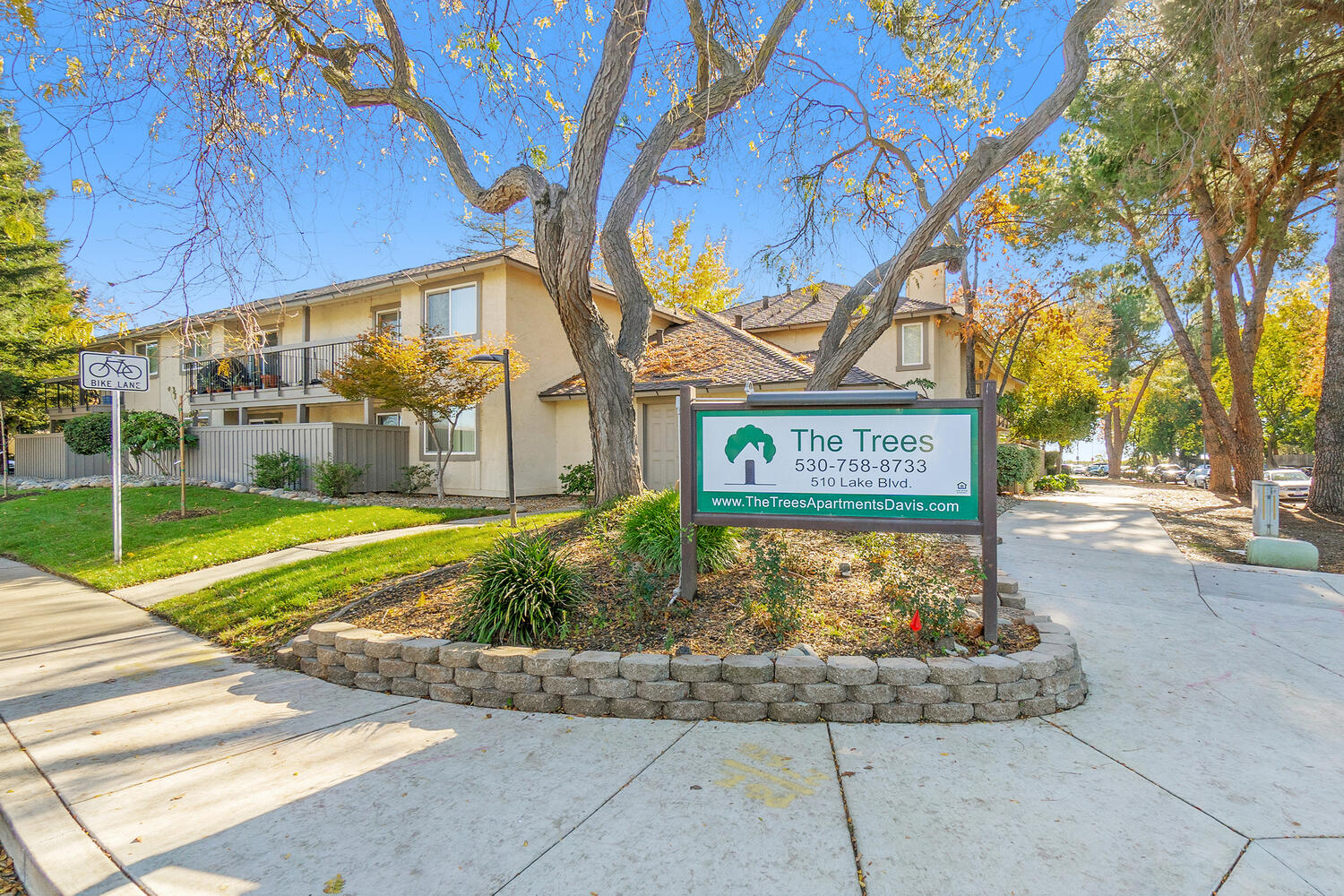 The Trees Apartments Amenities