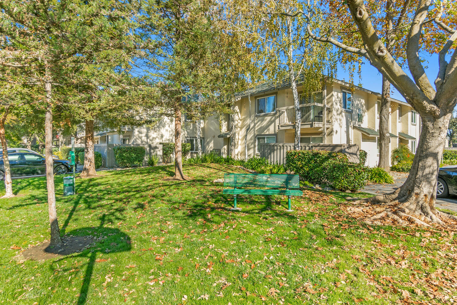 The Trees Apartments Exterior