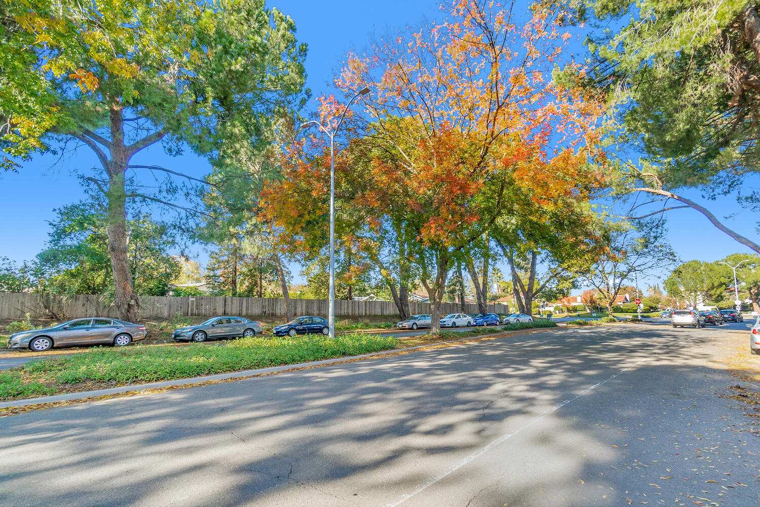 The Trees Apartments exterior