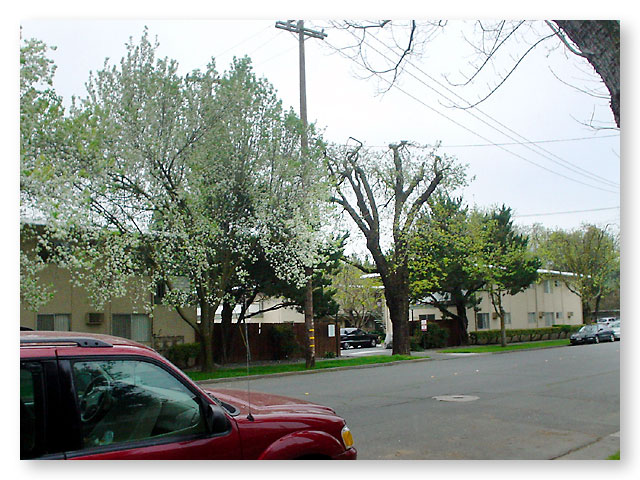 University Square Apartments Exterior