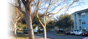 Whitehall Apartments Amenities