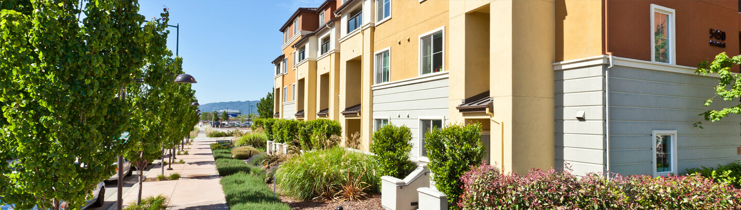 Estrella Vista Amenities