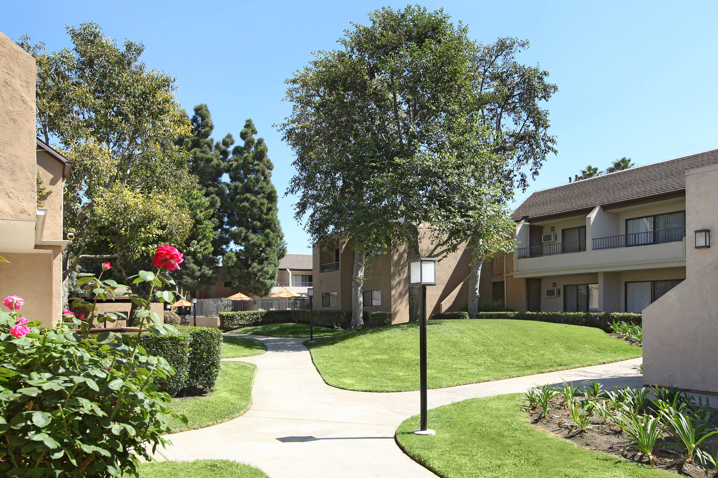 Mesa Pines Apartments Exterior
