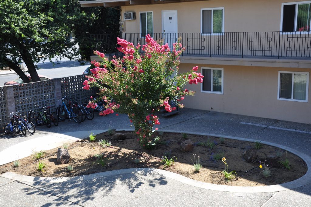 College Street Apartments exterior