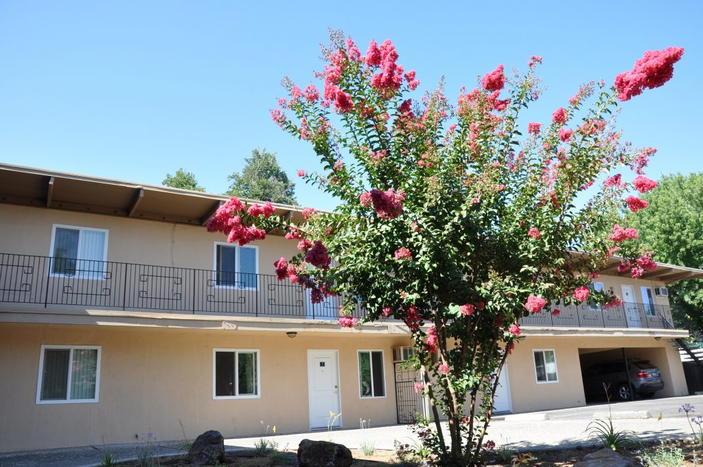 College Street Apartments Exterior